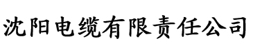 亚洲一区二区三区永久在线观看精品中文电缆厂logo